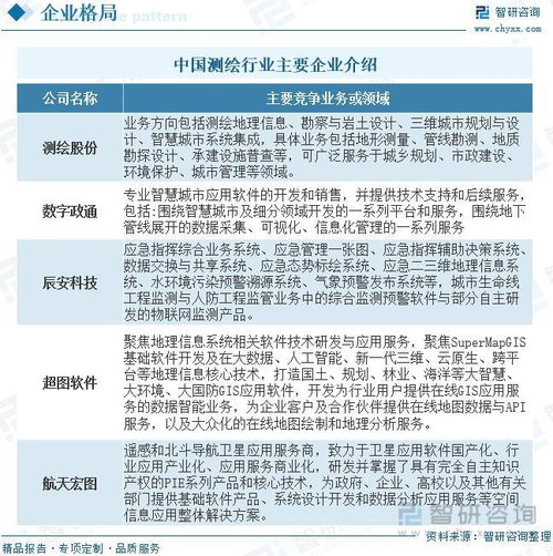 2023年測繪行業(yè)投資熱點(diǎn)及未來發(fā)展趨勢預(yù)測報(bào)告——聚焦信息系統(tǒng)集成服務(wù)
